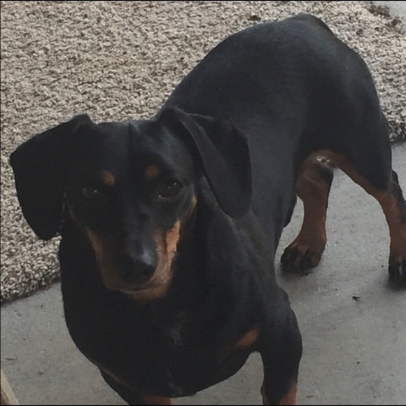 New listing up!❤️⬅️next door 4 updates🙏(The one with my Christmas picture😂) - Picture 15 of 16